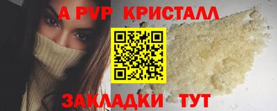 spice Кингисепп
