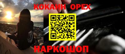 spice Кингисепп