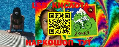 spice Кингисепп