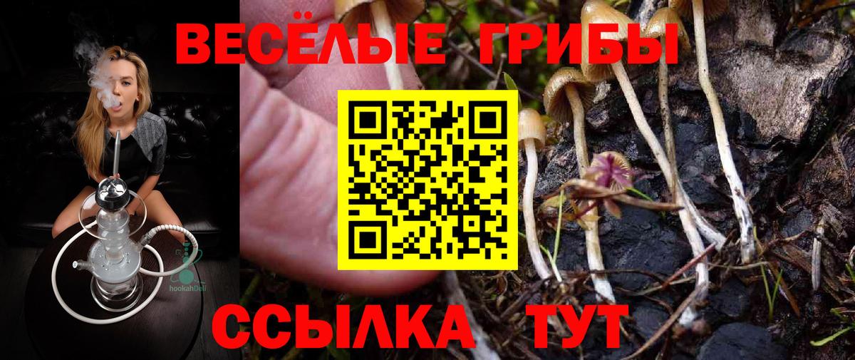 купить  сайты  Псилоцибиновые грибы ЛСД  Вход с VPN  Вологда 